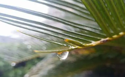 2024年6月云南多雨嗎